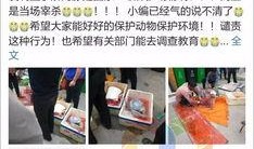 珠海网民爆料小伙视频,视频走红网络！