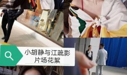 网红闺蜜爆料视频大全最新,揭秘娱乐圈幕后真相