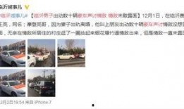 临沂网红视频爆料事件,揭秘背后真相与争议