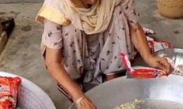 印度老奶奶美食爆料视频,传统美食背后的独特风味与故事