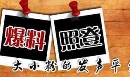 最新爆料新闻事件有哪些,聚焦近期热点新闻事件盘点