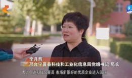 宁晋爆料新闻最新消息,揭秘事件背后惊人真相