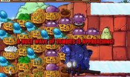 小齐的四个菜爆料视频大全,家常美食制作全过程