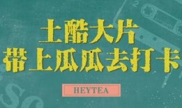 全宗都靠我吃瓜免费阅读,揭秘神秘宗门背后的秘密