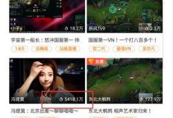 冯提莫直播间刷手爆料视频,揭秘直播幕后真相