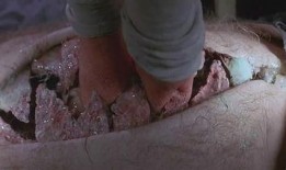 突变第三型在线观看,揭秘神秘变异背后的惊悚真相