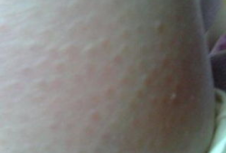 亚服吃鸡皮肤爆料最新版,最新版惊艳亮相，视觉盛宴即将开启！