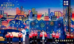 春节爆料视频大全新闻,精彩瞬间回顾