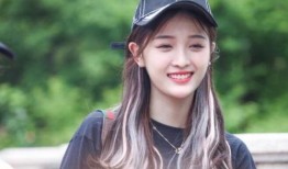 圈内人爆料吴宣仪视频,圈内人揭秘背后真相