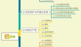 火舞配色爆料视频大全集,色彩斑斓的舞蹈魅力解析