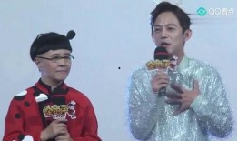 黄磊爆料节目视频播放下载,节目视频播放下载背后的秘密