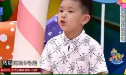 萌娃爆料父母吵架视频,温馨家庭瞬间变战场