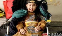 拐皇在线观看,宫廷权谋，爱恨交织的宫廷传奇