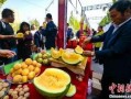 吴忠吃瓜最新事件爆料,揭秘背后惊人真相